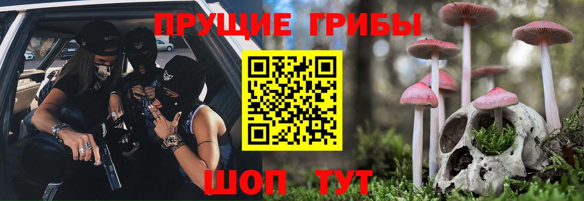 Анжеро-Судженск  купить наркоту  Вход с VPN  Псилоцибиновые грибы Psilocybine cubensis 